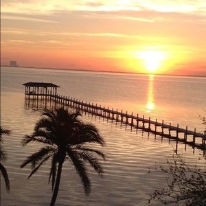 Meet your Posher, Betty